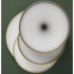 Coupe plate flat 8.66 in n°3 (22 cm)